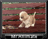 !A-Puppy & Rose