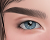 Brows Dark