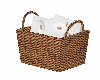 Basket Of Toilet Papers