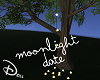🐾 Moonlight Lights2