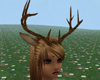 antlers and ears