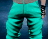 A/ Teal Pants