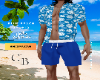 Blue Beach Shorts