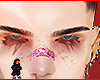 Checho brows