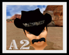 [A2]cowboy boa hat