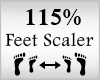 Scaler Feet 115%