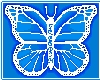 Blue Freedom Monarch