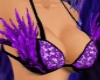 Burlesque Bra Passions