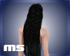 MS Soficita Black