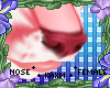 ꨄCupie Kit Noseꨄ