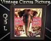 Vintage Circus Picture