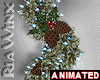 Snow Pine + Dark Cones