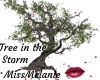 Tree in the Storm
