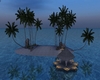 Ile sous les Tropic