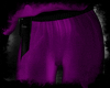 5C Pants Purple HASG