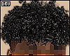 [DRV] Curly Hair