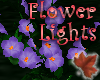 mac.FlowerLights Purple