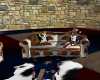 Cowhide brn 2 seater 