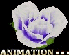 1 animated floting rose