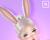 Bunny Ears