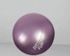 Gym Fitness Ball