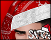 S. CHRISTMAS HAT