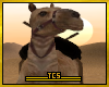Animated camel