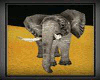 Anim African Elephant