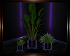 Fantasy Plant v1