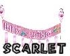 Princess Bday Banner 2