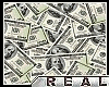 DOLLARS = real