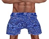 Beach shorts-blue/Gee
