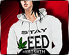 Ks~ Stay Weed Hoody (M)