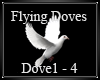 {k} Flying Doves