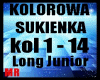 KOLOROWA SUKIENKA