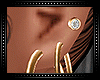 ❄ Gold Earrings