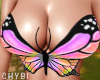 C~Butterfly V1 Top
