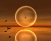Bundle Romantic Sunset
