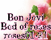 Bon Jovi Bed of Roses