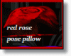 red rose pillow/pose