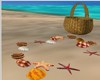 Love Beach Shells