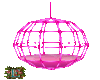 Pink Dance Cage