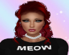 Moew Cat Collar