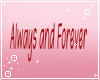 Always&Forever