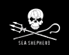 Sea Shepherd Sticker