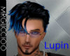 Lupin blue black