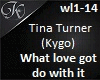 [K]Tina Turner-What...