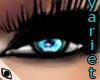  Eyes Turquoise