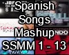 Spanish Songs Mashup