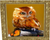 Orange Owl 2